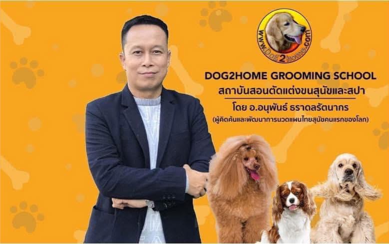 โรงเรียนสอนตัดขนสุนัข