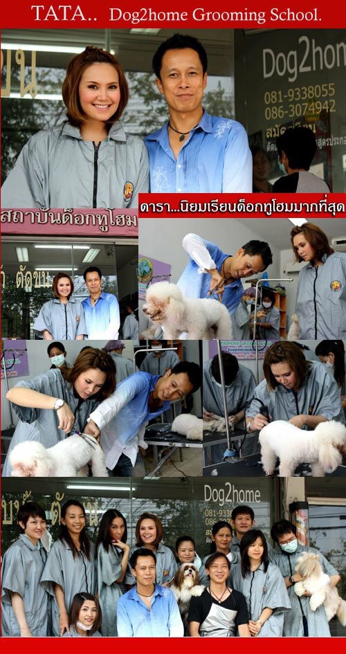 สอนตัดขนสุนัข